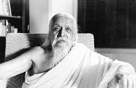 by your stumbling the world is perfected -citation de Sri Aurobindo
